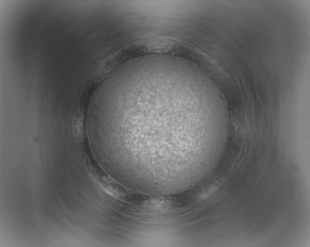 X0000070240745200606091334