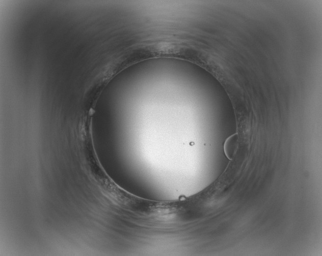 X0000070240746200606091334