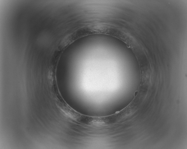 X0000070240749200606091334