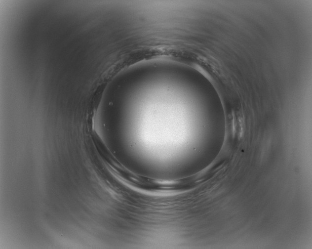 X0000070240750200606091334