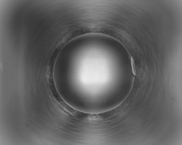 X0000070240752200606091334