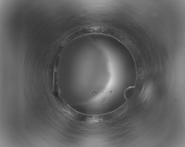 X0000070240754200606091334