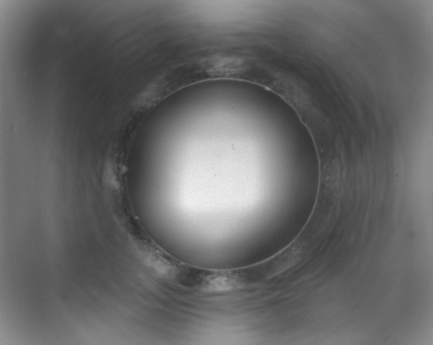 X0000070240755200606091334