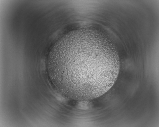 X0000070240757200606091334