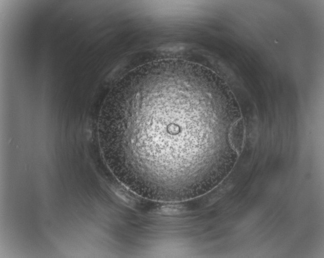 X0000070240758200606091334