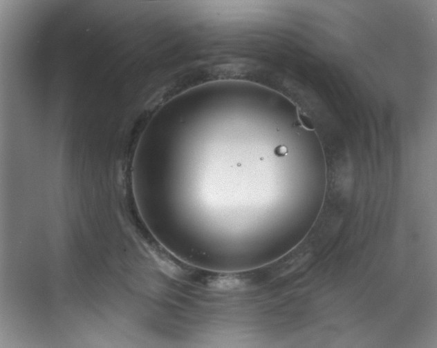 X0000070240759200606091334