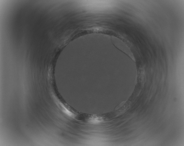 X0000070240760200606091334