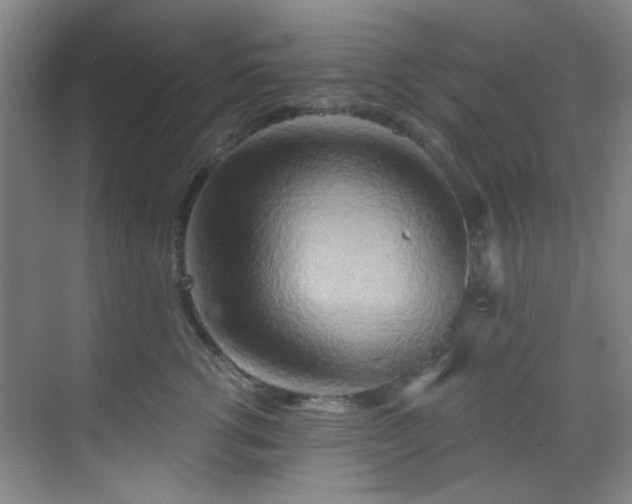 X0000070240762200606091334