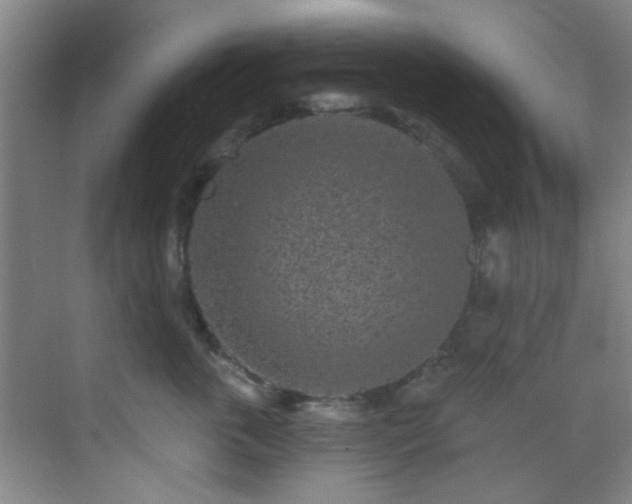 X0000070240763200606091334