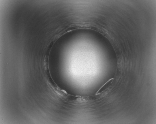 X0000070240764200606091334