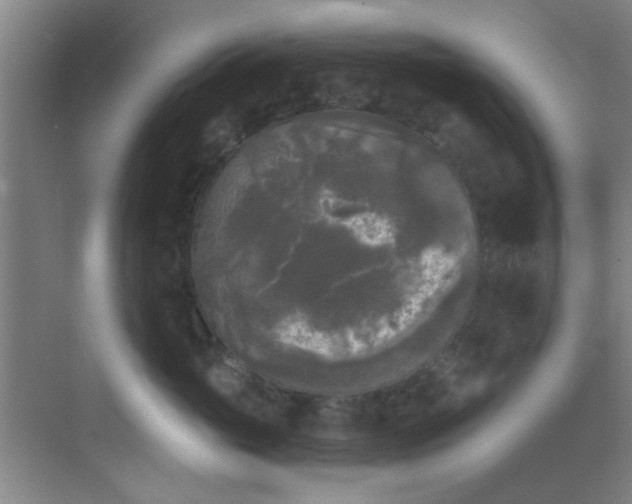 X0000070240765200606091335