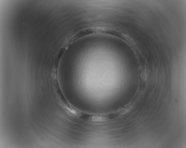 X0000070240766200606091335