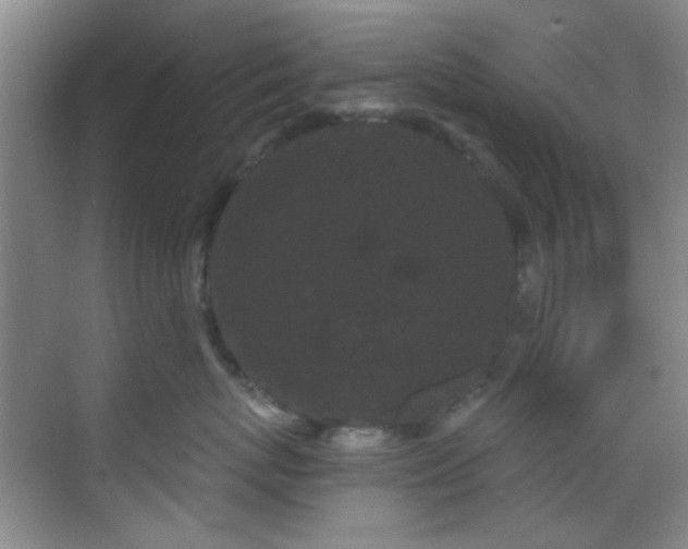 X0000070240767200606091335