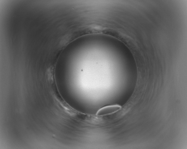 X0000070240768200606091335