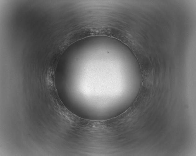 X0000070240770200606091334