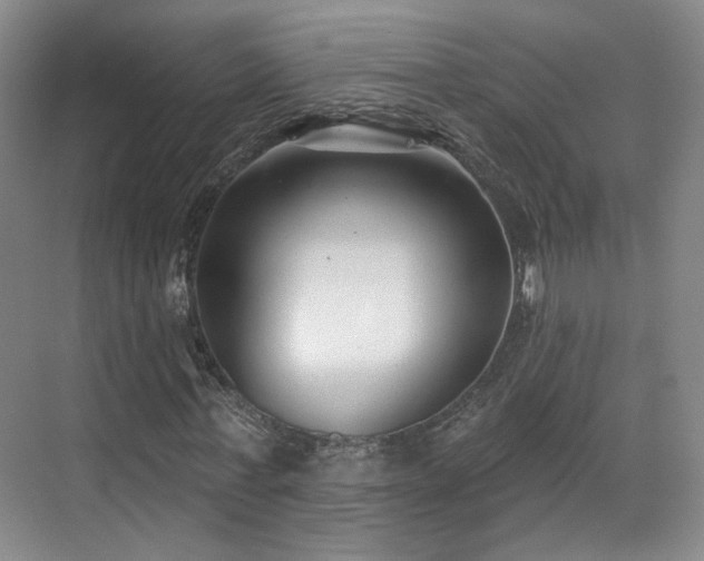 X0000070240771200606091334