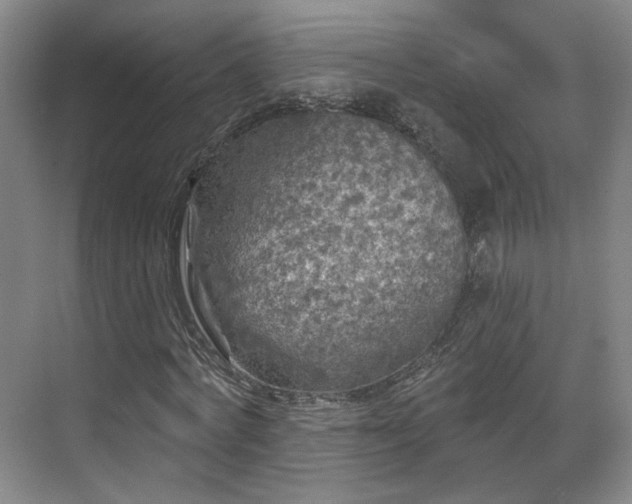 X0000070240772200606091334