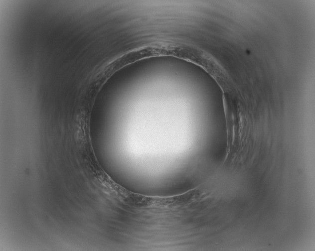 X0000070240773200606091334