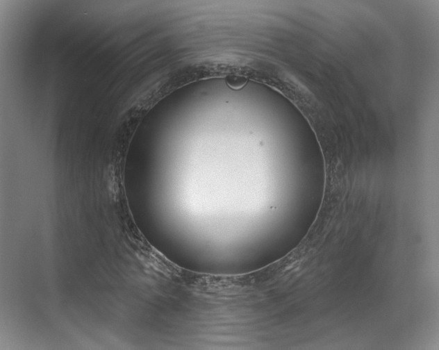 X0000070240774200606091334