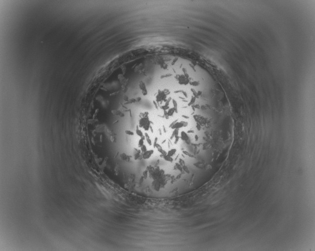 X0000070240775200606091334