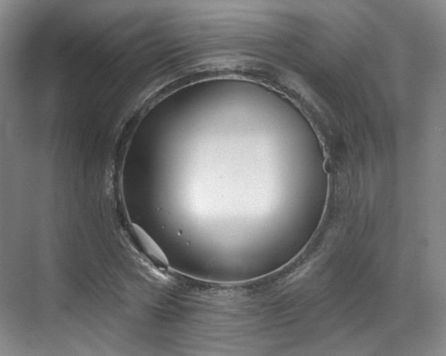 X0000070240778200606091334