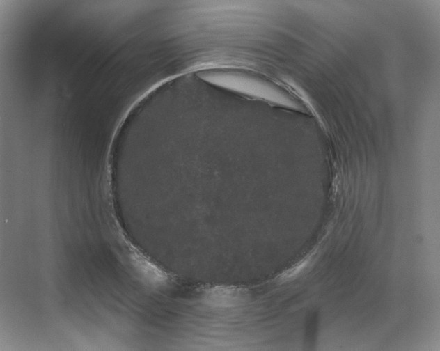 X0000070240779200606091334