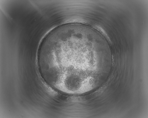 X0000070240780200606091334