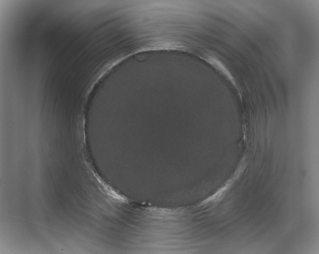 X0000070240781200606091334