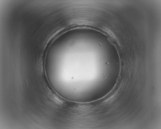 X0000070240782200606091334