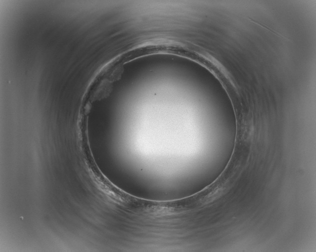 X0000070240783200606091334