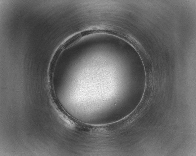 X0000070240784200606091333