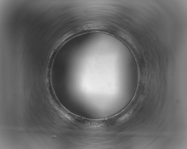 X0000070240786200606091333