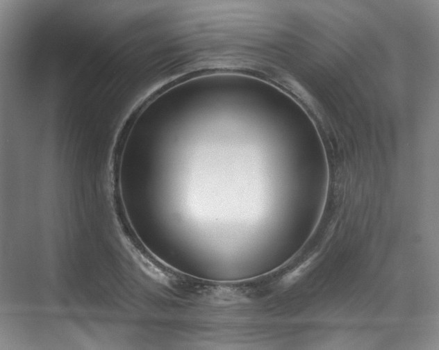 X0000070240787200606091333