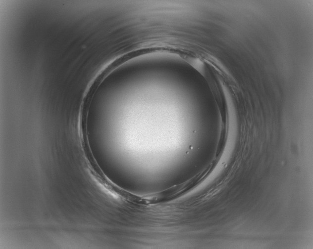 X0000070240788200606091333