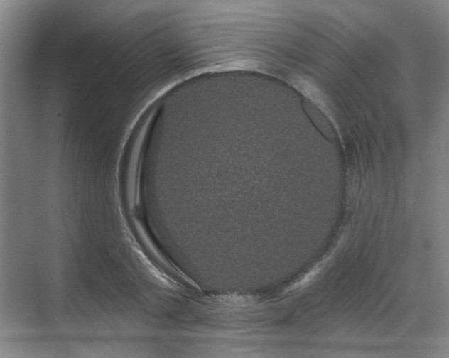 X0000070240789200606091333