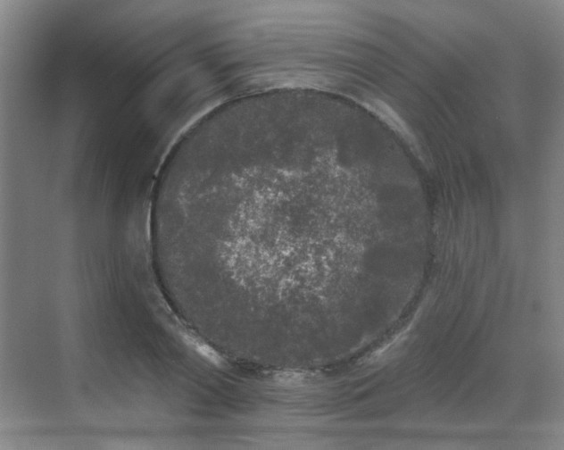 X0000070240790200606091333