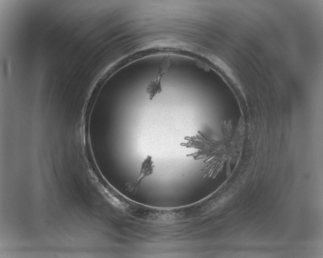 X0000070240791200606091333