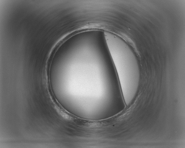 X0000070240792200606091333