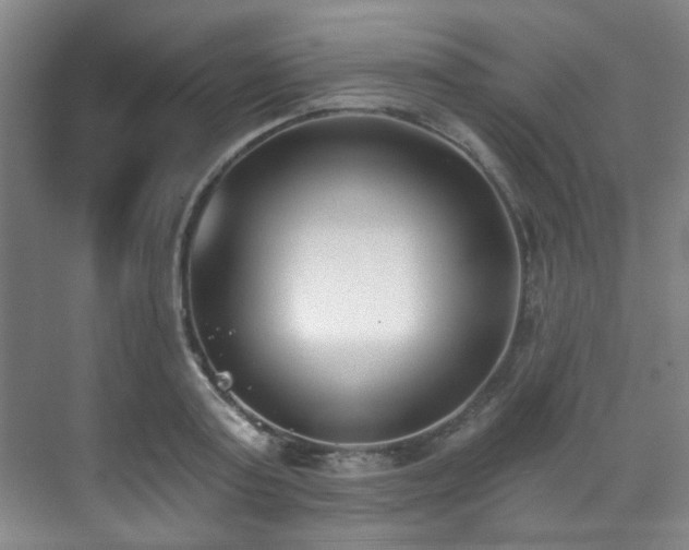 X0000070240795200606091333