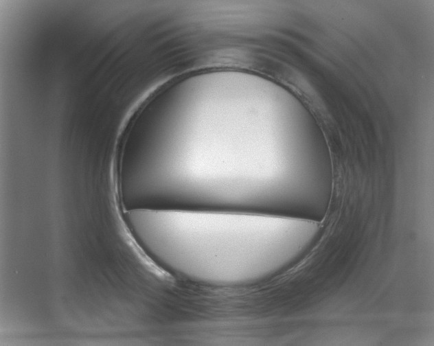 X0000070240796200606091333