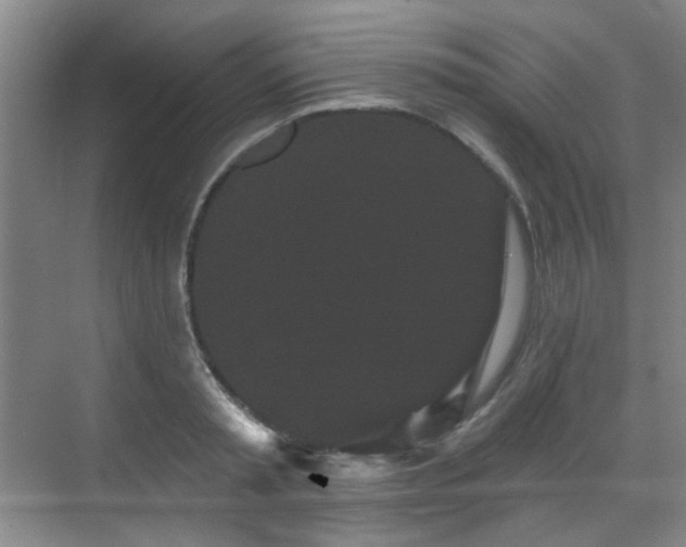 X0000070240797200606091333