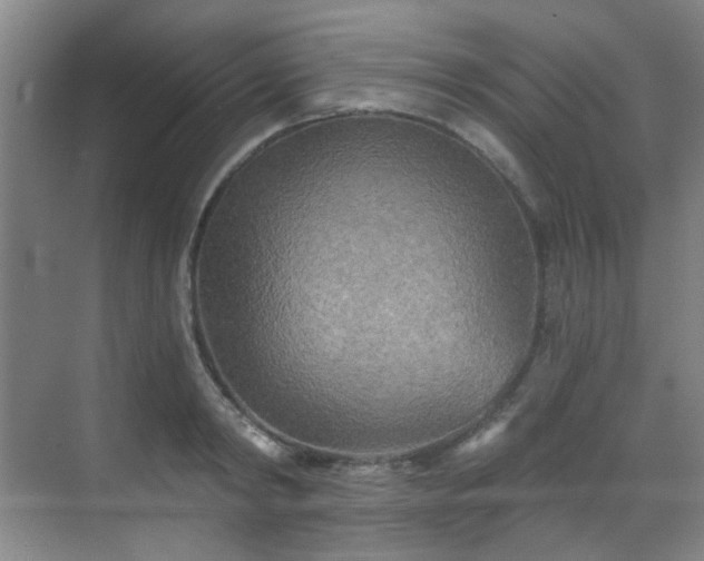 X0000070240798200606091333