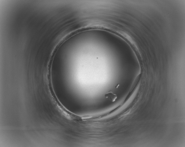 X0000070240799200606091333