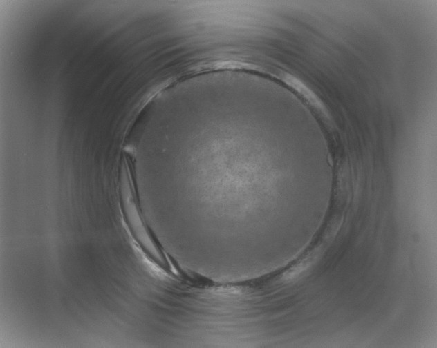 X0000070240801200606091333