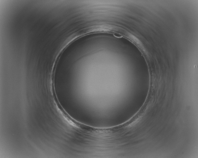 X0000070240802200606091333