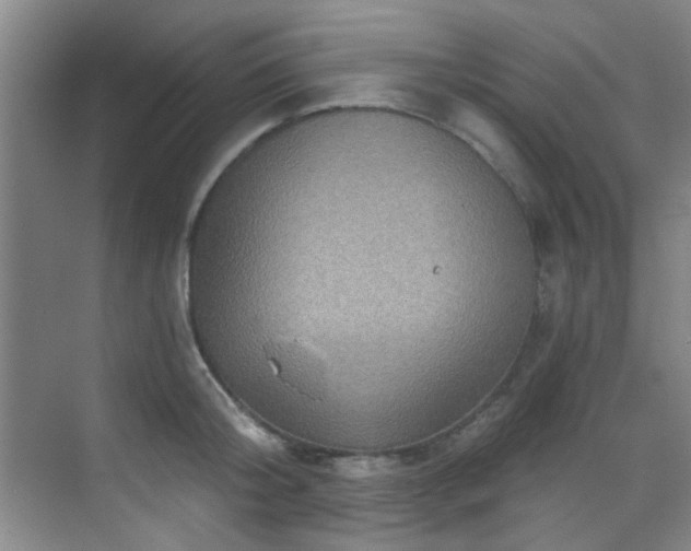 X0000070240804200606091333