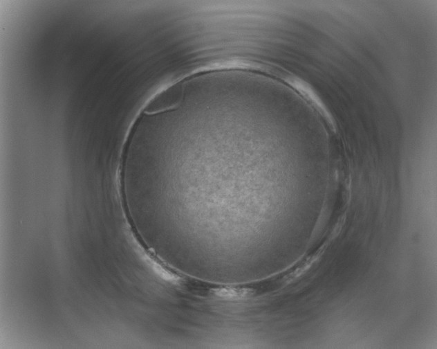 X0000070240805200606091333