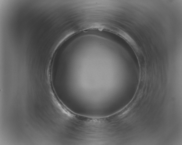 X0000070240806200606091333