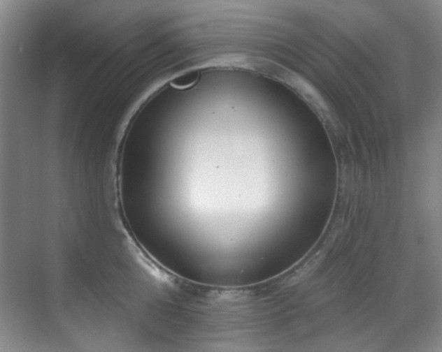 X0000070240808200606091333