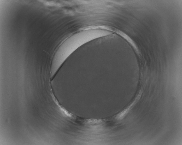 X0000070240809200606091333